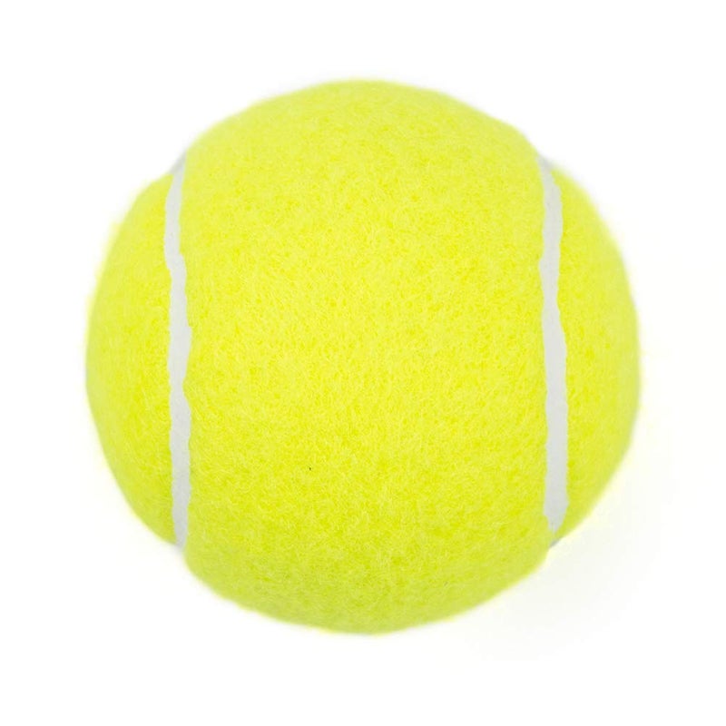 Tebery 20 Pack Green Advanced Training Tennis Balls Practice Ball with Mesh Carry Bag - Image 4